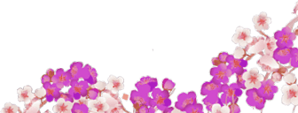 花々